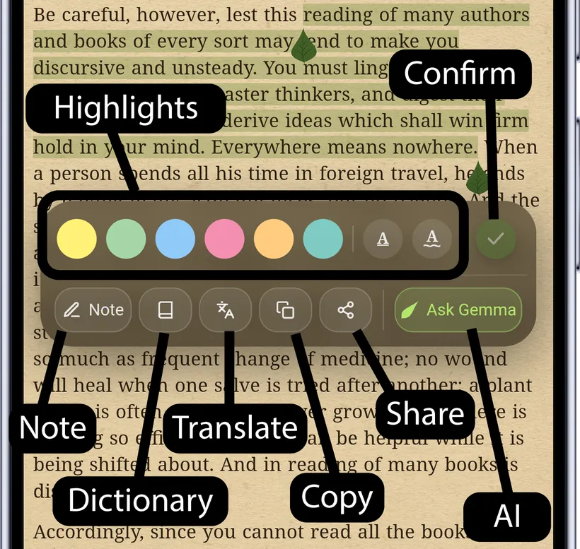 The selection bar, explained
